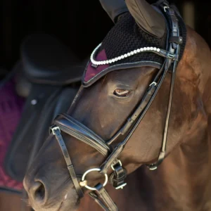 A horse with a bridle on is standing in the dark.